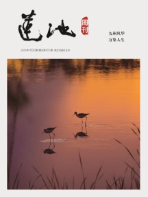 莲池周刊杂志